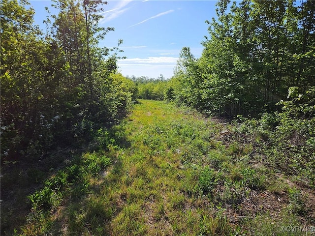 80AC Andersonville Rd, Dillwyn, VA 23936 - photo 24