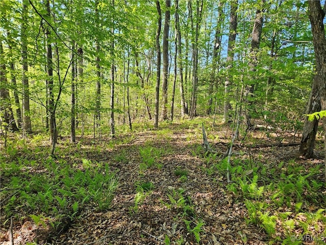 80AC Andersonville Rd, Dillwyn, VA 23936 - photo 26