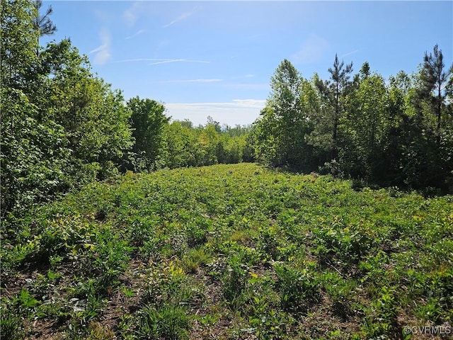 80AC Andersonville Rd, Dillwyn, VA 23936 - photo 7