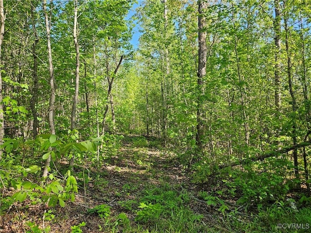 80AC Andersonville Rd, Dillwyn, VA 23936 - photo 6