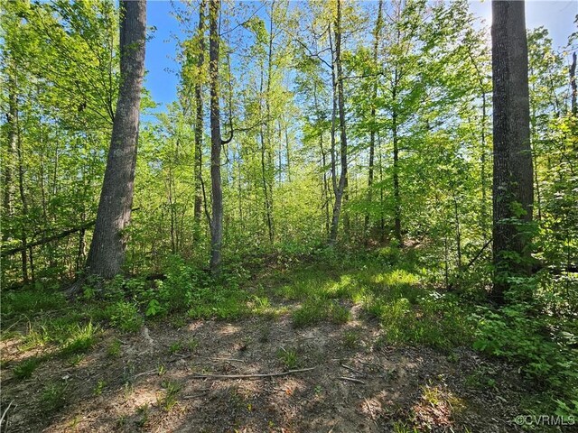 80AC Andersonville Rd, Dillwyn, VA 23936 - photo 27