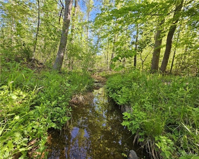 80AC Andersonville Rd, Dillwyn, VA 23936 - photo 28