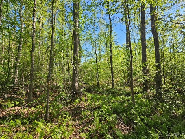 80AC Andersonville Rd, Dillwyn, VA 23936 - photo 31