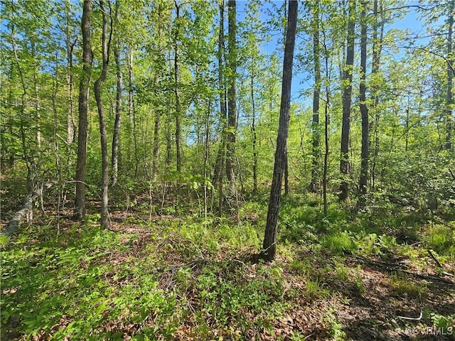 80AC Andersonville Rd, Dillwyn, VA 23936 - photo 32