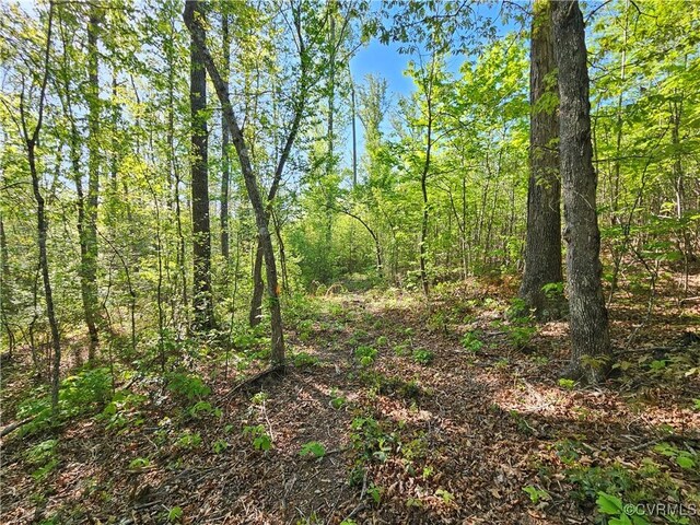 80AC Andersonville Rd, Dillwyn, VA 23936 - photo 33