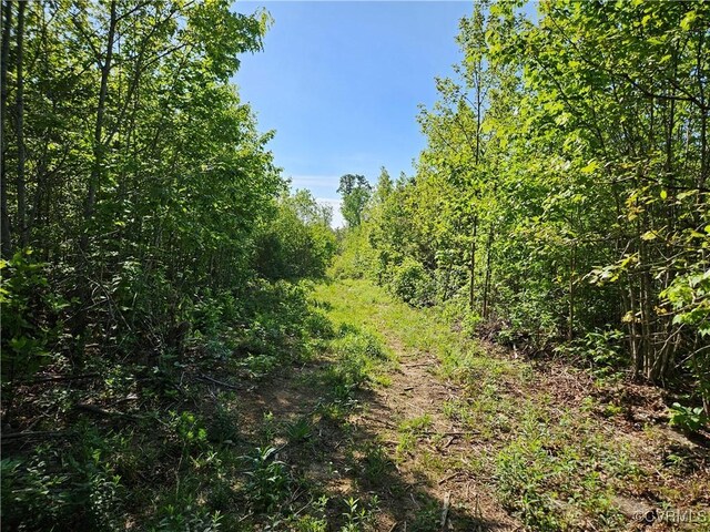 80AC Andersonville Rd, Dillwyn, VA 23936 - photo 34
