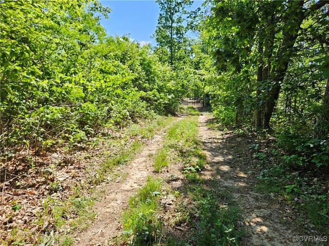 80AC Andersonville Rd, Dillwyn, VA 23936 - photo 42