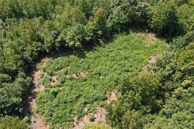 80AC Andersonville Rd, Dillwyn, VA 23936 - photo 47