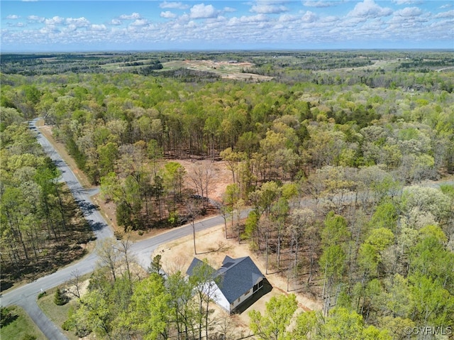 bird's eye view of a forest