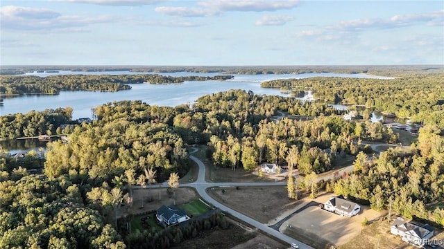 86 Promise Ln, Bumpass, VA 23024 - photo 35