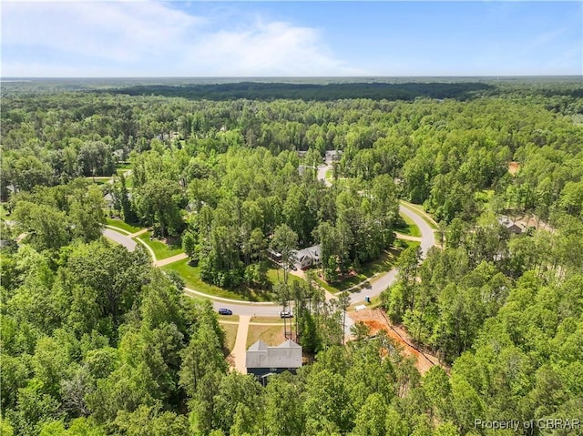 aerial view of a forest