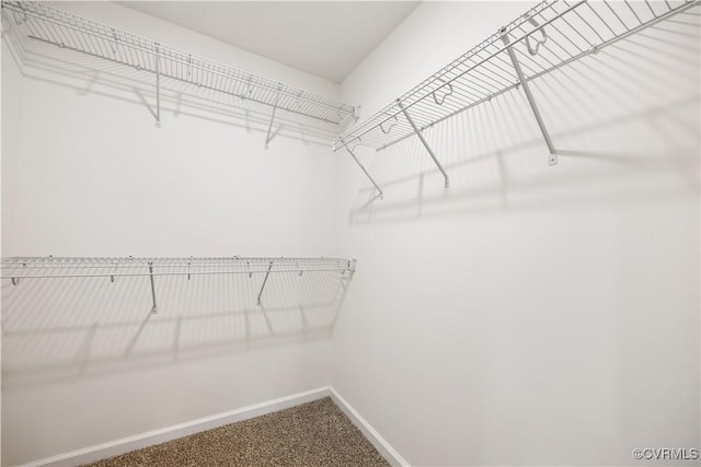 17513 Kathleen Ct, South Chesterfield, VA 23803 - walk in closet featuring carpet flooring