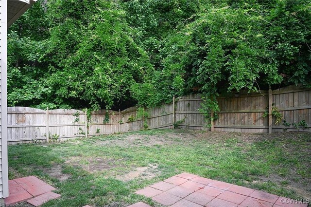 5801 Riverside Trl, Richmond, VA 23225 - view of yard