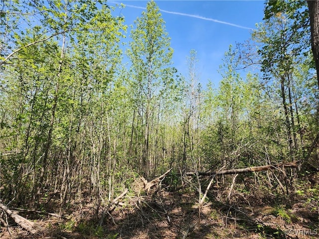 LOT3 Massey Rd, Spotsylvania, VA 22551