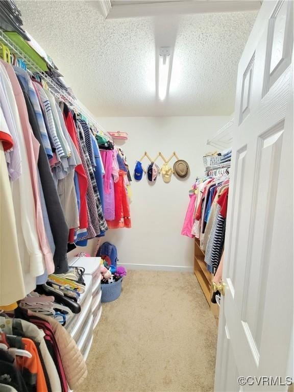 spacious closet featuring carpet floors