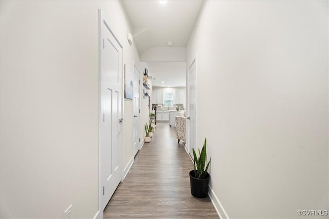 11301 Winding Brook Terrace Dr, Hanover, VA 23005 - corridor featuring wood finished floors and baseboards