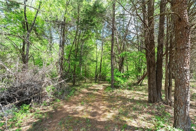 0 Bryants Ford Rd, Fluvanna, VA 23055 - photo 14