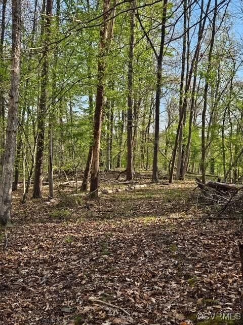 0 Bryants Ford Rd, Fluvanna, VA 23055 - photo 15