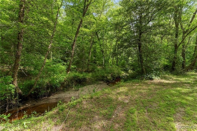 6189 Fire Ln, Mechanicsville, VA 23116 - photo 50