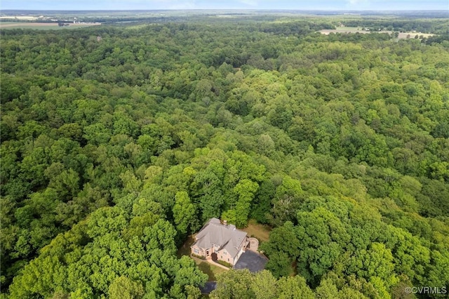 6189 Fire Ln, Mechanicsville, VA 23116 - photo 6