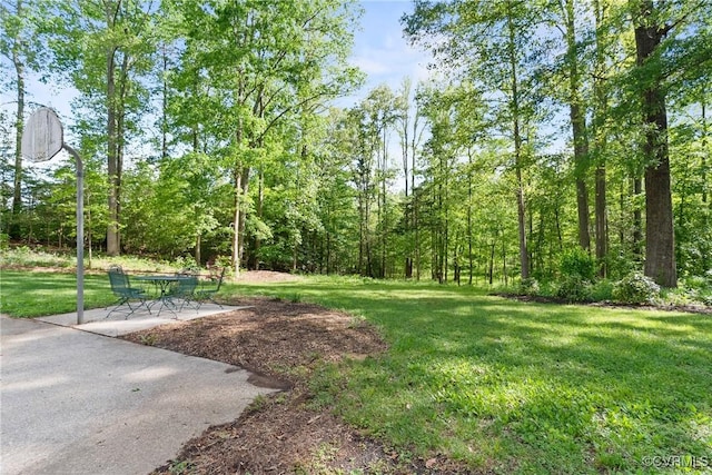 17475 Millfield Ln, Hanover, VA 23192 - view of community with a yard and a patio area
