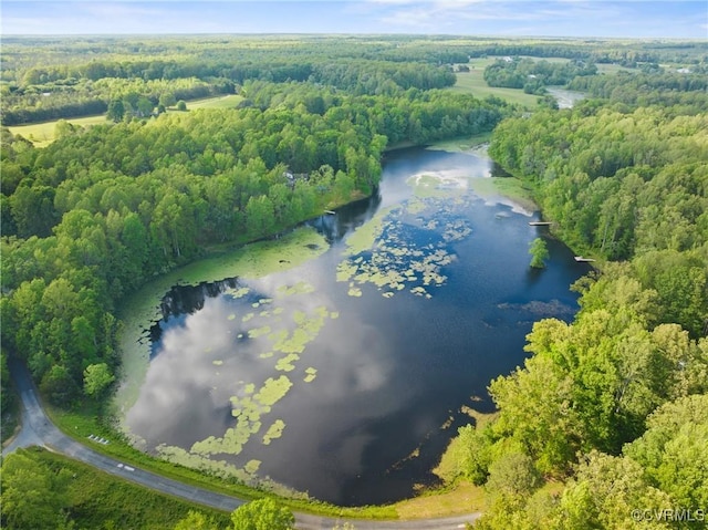 17475 Millfield Ln, Hanover, VA 23192 - aerial view of a nearby body of water and a forest