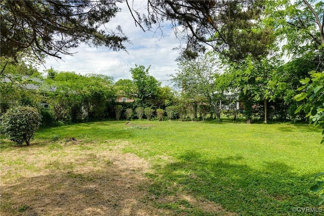 view of grassy yard
