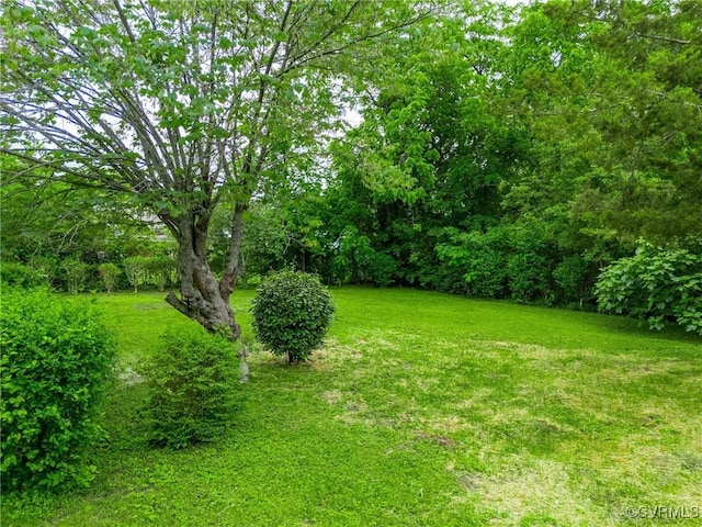 7910 San Juan Rd, Henrico, VA 23229 - view of grassy yard