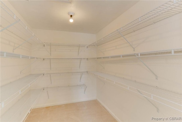 view of walk in closet