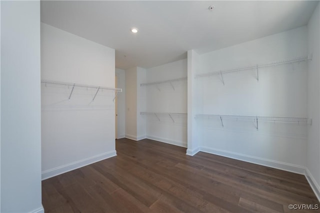 spacious closet with dark wood finished floors