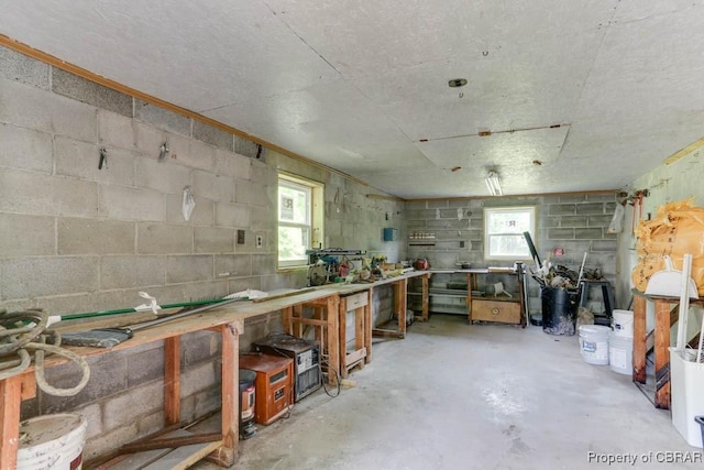 917 Chapel Neck Rd, North, VA 23128 - basement with concrete block wall, a workshop area, and healthy amount of natural light