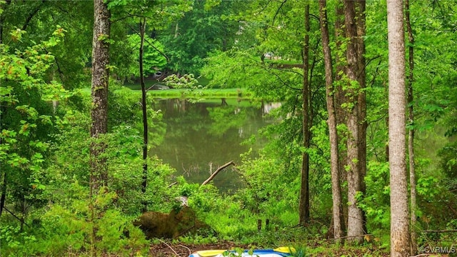 1270 Mill Quarter Rd, Powhatan, VA 23139 - view of woods featuring a water view