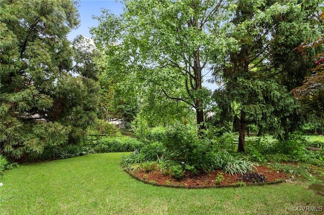 view of grassy yard
