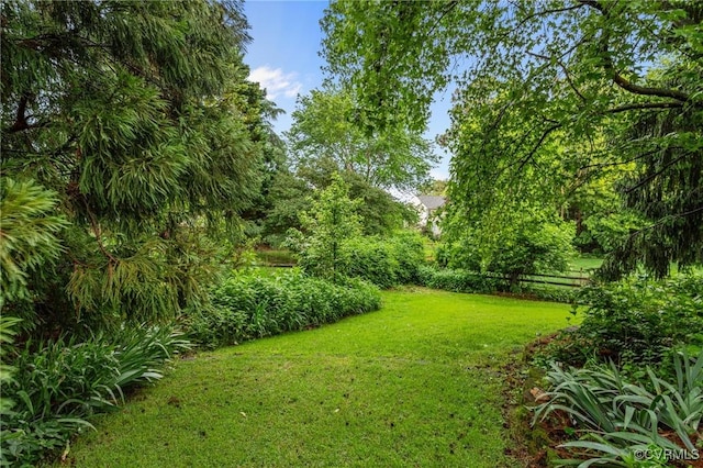view of grassy yard