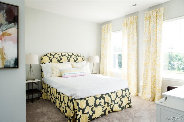 8106 Side Spring Ter, Henrico, VA 23294 - carpeted bedroom with multiple windows