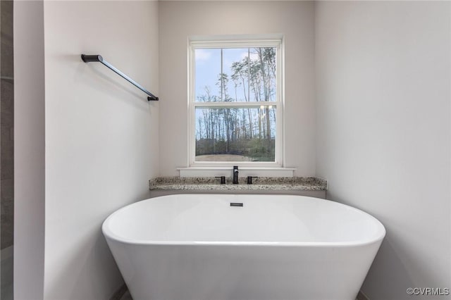 bathroom featuring a freestanding tub