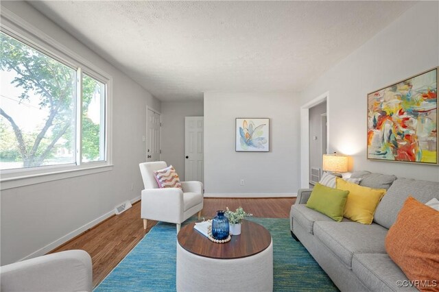 living room featuring wood finished floors, baseboards, and a textured ceiling