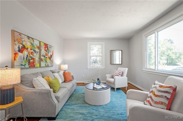 living area featuring baseboards, wood finished floors, and a textured ceiling