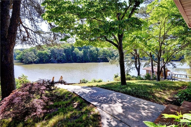 3631 Lighthouse Ln, Hayes, VA 23072 - photo 31