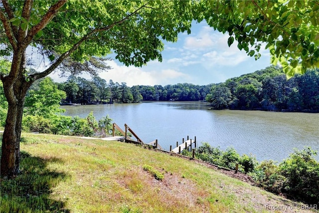 3631 Lighthouse Ln, Hayes, VA 23072 - photo 32