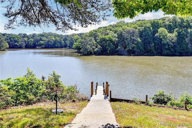 3631 Lighthouse Ln, Hayes, VA 23072 - photo 33