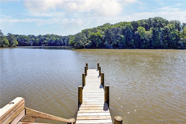 3631 Lighthouse Ln, Hayes, VA 23072 - photo 36