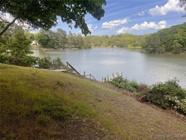 3631 Lighthouse Ln, Hayes, VA 23072 - photo 34