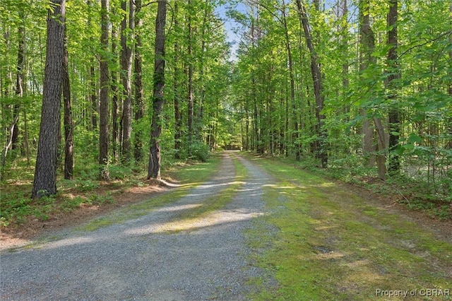 591 Plantation Rd, North, VA 23128 - view of dirt / gravel road featuring a wooded view