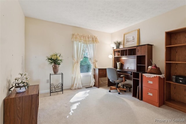591 Plantation Rd, North, VA 23128 - home office with light colored carpet