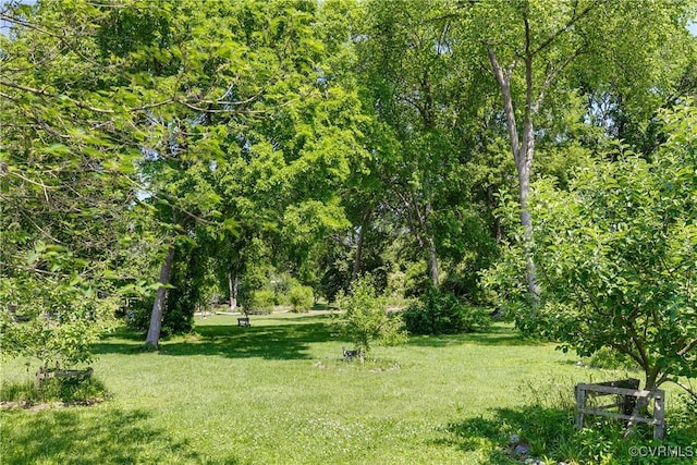 view of grassy yard