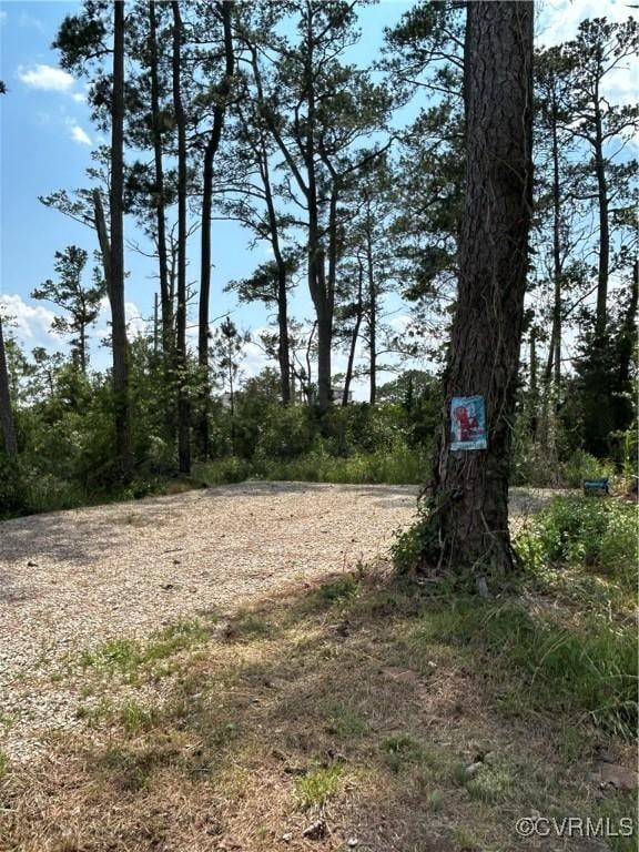 41 Hobday St, Mathews, VA 23128 - view of yard