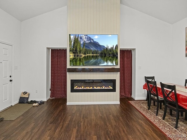 10717 Greenwood Rd, Henrico, VA 23059 - living room with wood finished floors, a glass covered fireplace, baseboards, and high vaulted ceiling