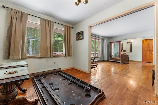 playroom with wood finished floors