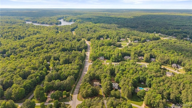 11324 Regalia Dr, Chesterfield, VA 23838 - bird's eye view of a forest and a nearby body of water